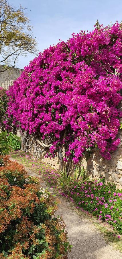 Cosy Tavira Holidays Luaran gambar